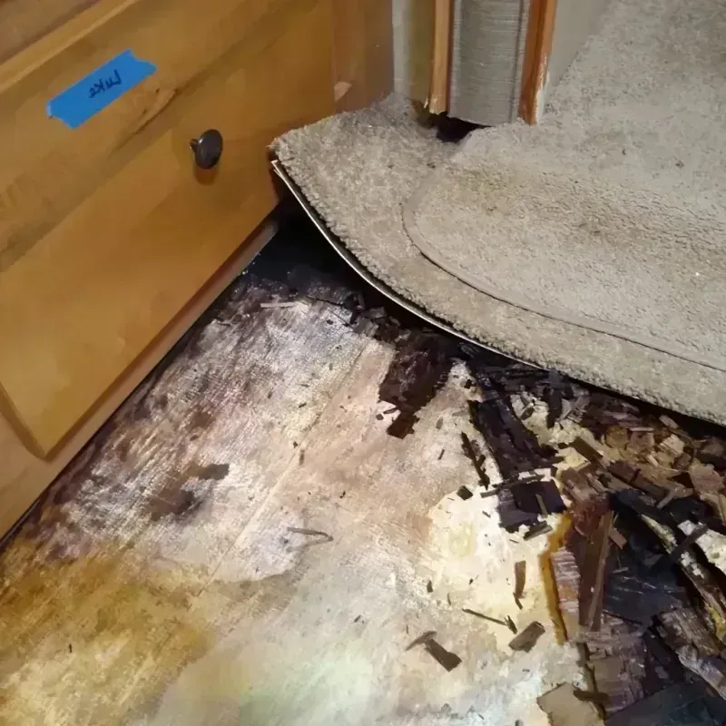 Wood Floor Water Damage in Plantation Mobile Home Park, FL